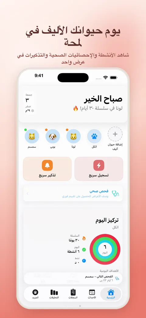 يوم حيوانك الأليف في لمحة — لوحة المعلومات