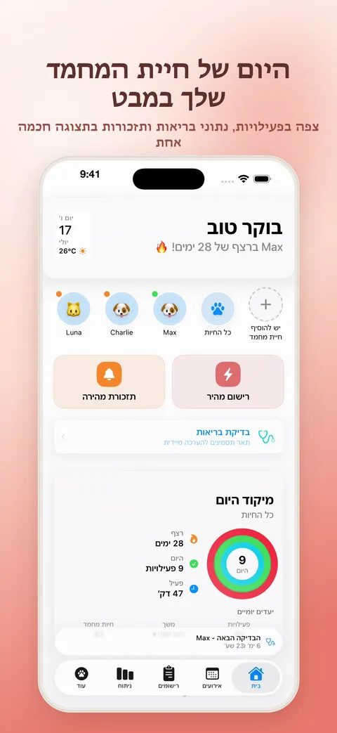 היום של חיית המחמד שלך במבט אחד – לוח בקרה