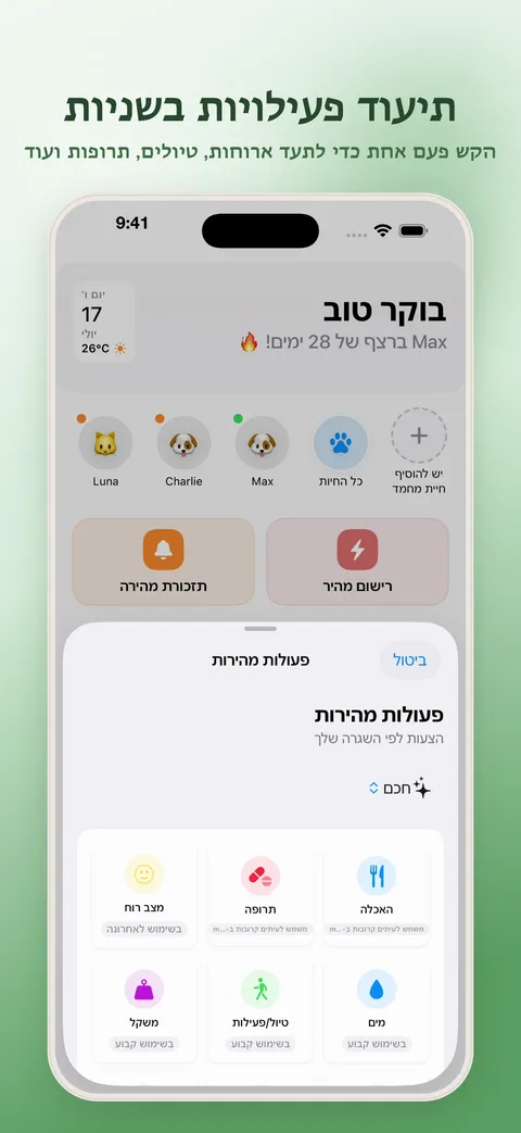 תיעוד פעילויות בשניות – פעולות מהירות
